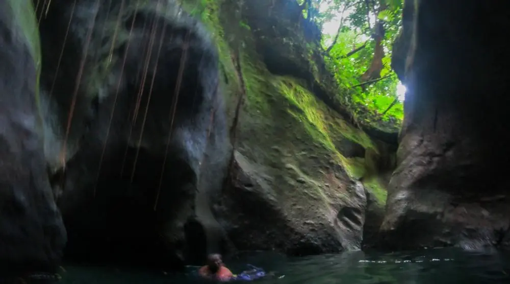 Narrow mossy gorge with dripping water