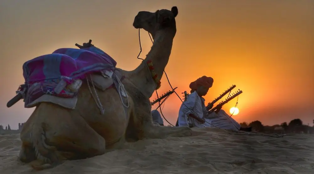 Camel resting in the desert at sunset