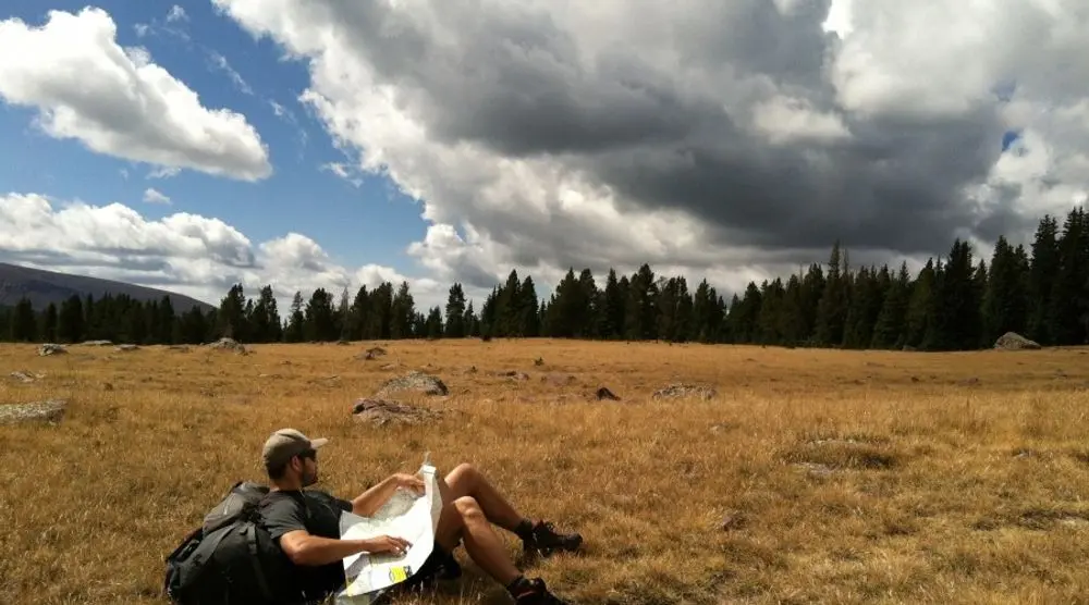 Traveller reading a map in a meadow