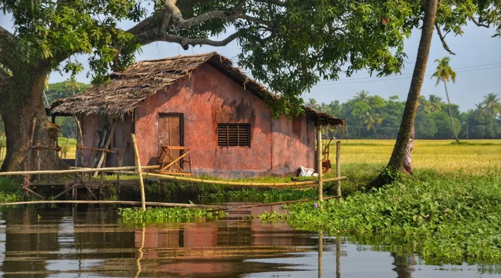 Old house beside a backwater among palms