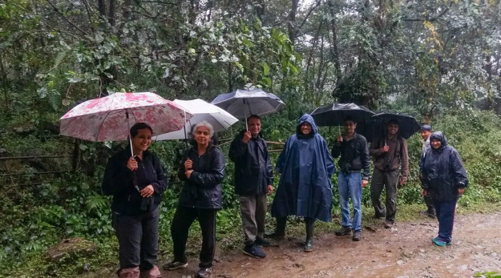 Group of hikers with umbrellas on a forest trail