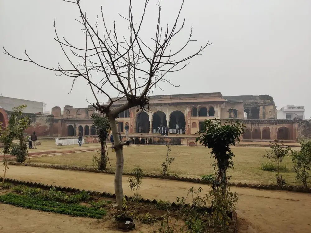 Ruined fort walls and a bare tree in Gurgaon