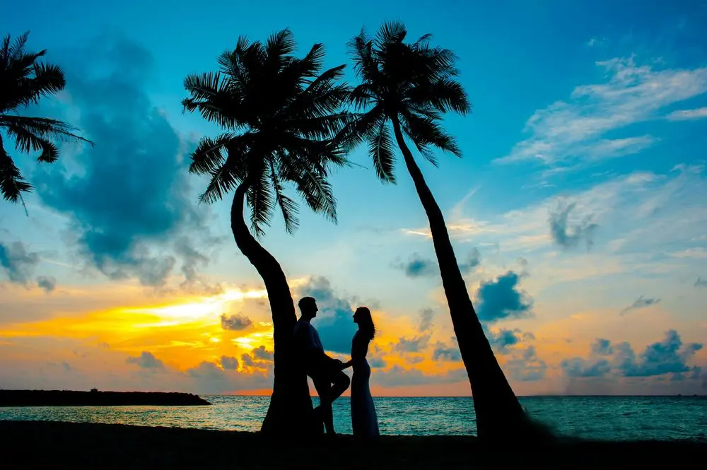 Couple silhouetted under palm trees at sunset