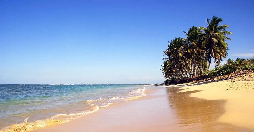 Palm-fringed sandy beach