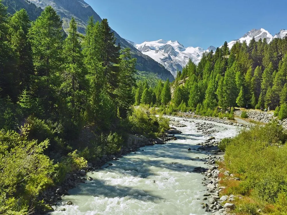 River flowing through a pine valley below snowy peaks