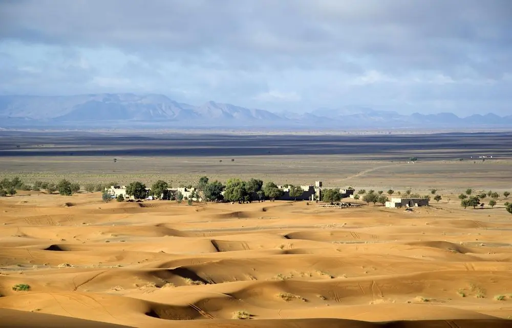 Sand dunes and palm oasis near Zagora