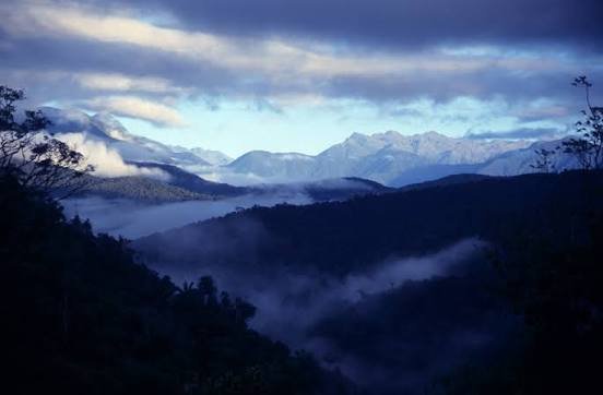 Misty forested valleys of Madidi National Park, Bolivia