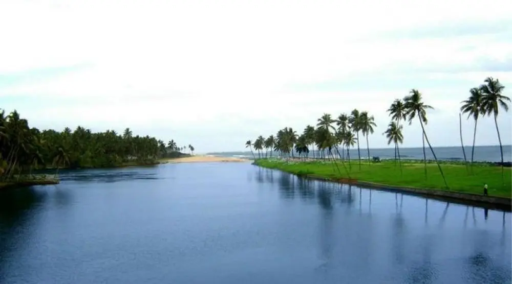 Palm-fringed lagoon