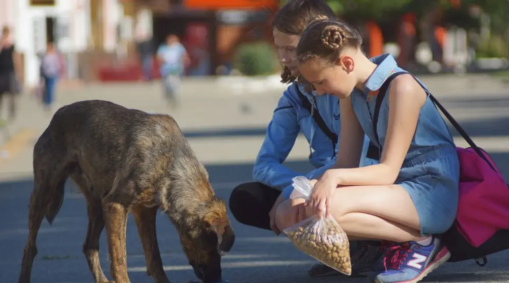 Woman feeding a stray dog on a street