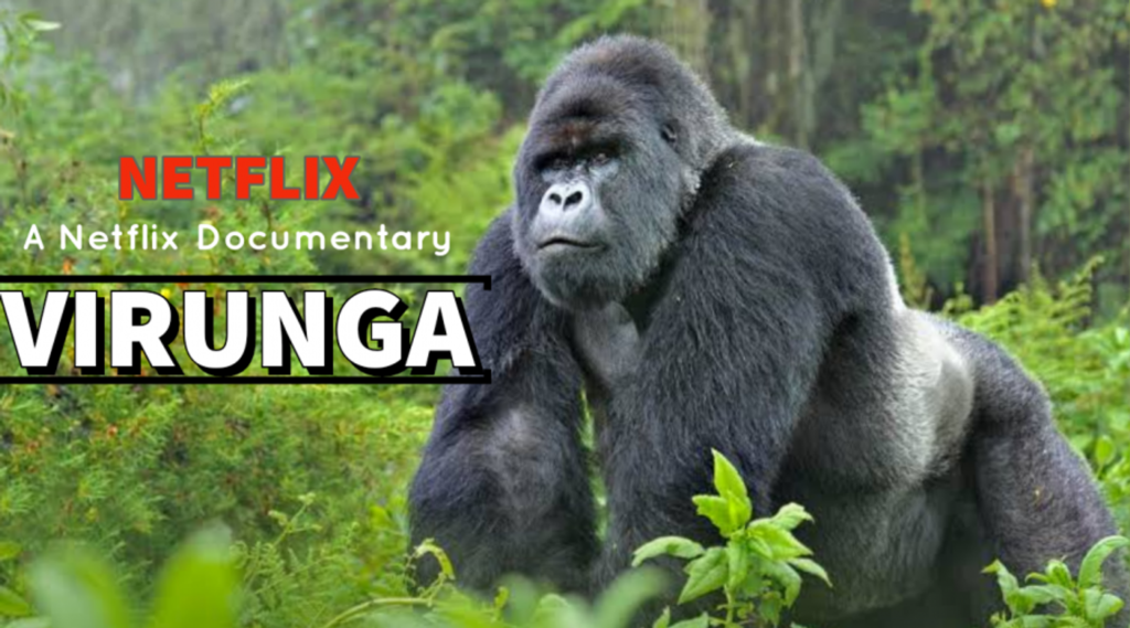 Top Conservation Movies to Inspire the Conservationist in you