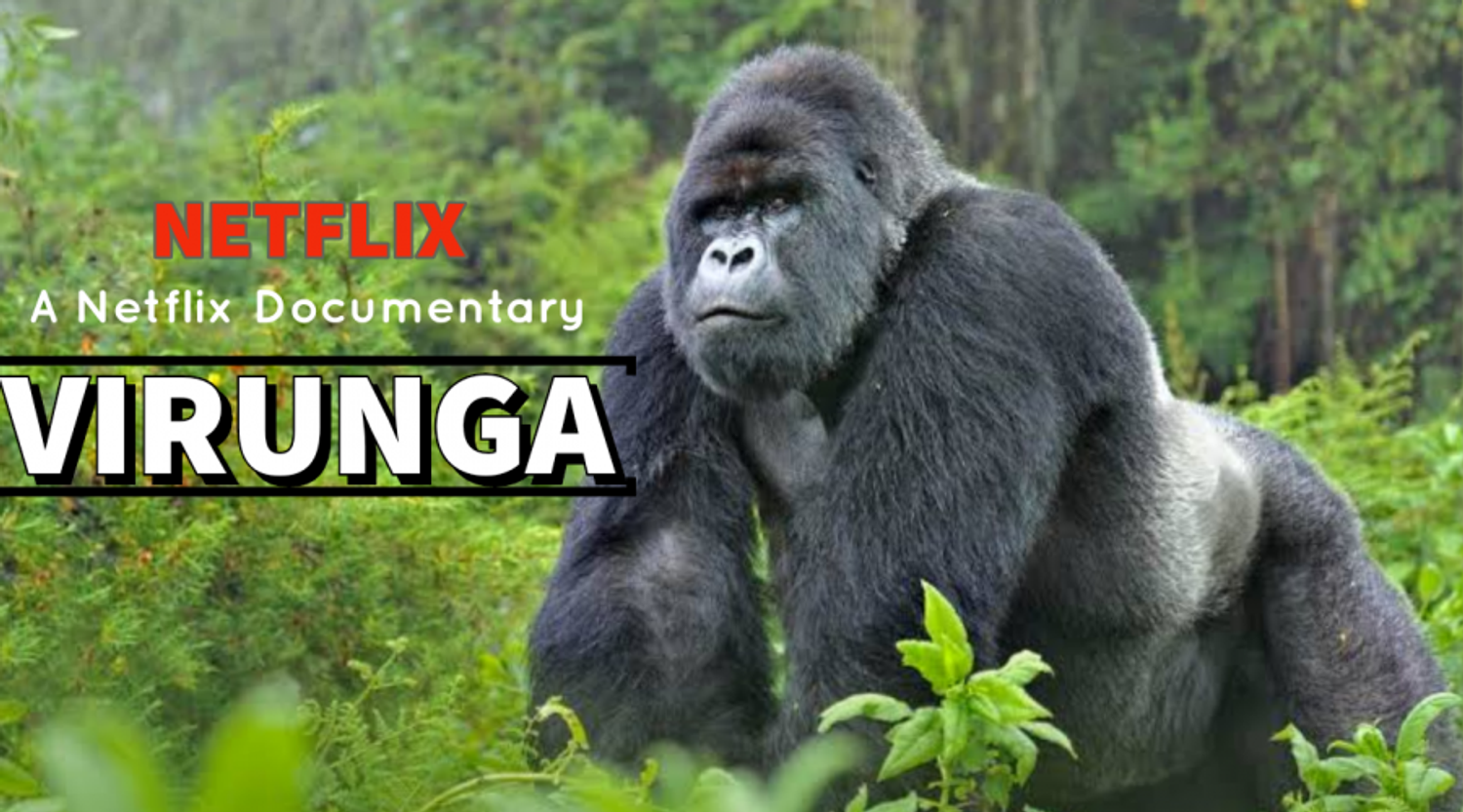 Top Conservation Movies to Inspire the Conservationist in you