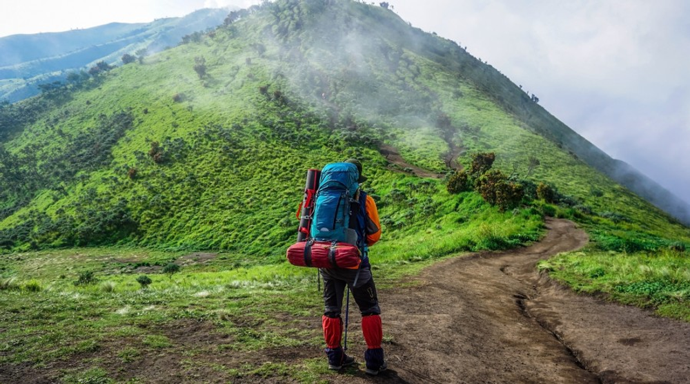 Backpacker on a green hillside trail