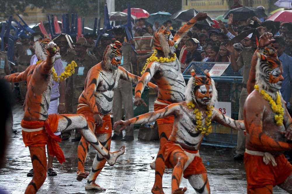 Tiger dancers performing at Mysore Dasara