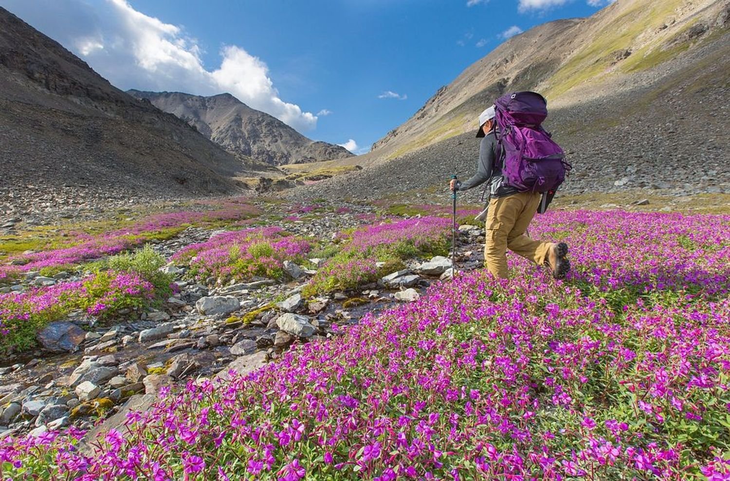 From Beaches to the Himalayas: A Guide to India’s Most Beautiful Landscapes
