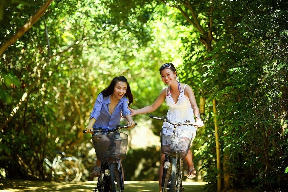 Two women cycling along a tree-lined path